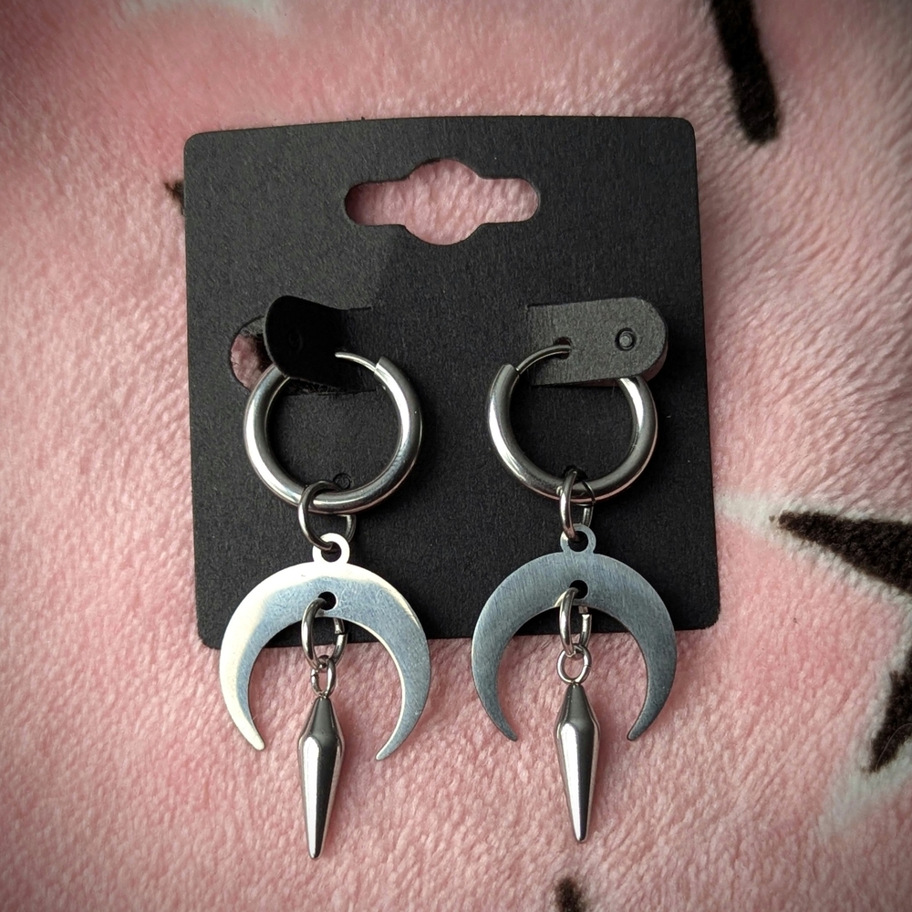 Stainless steel Earrings
